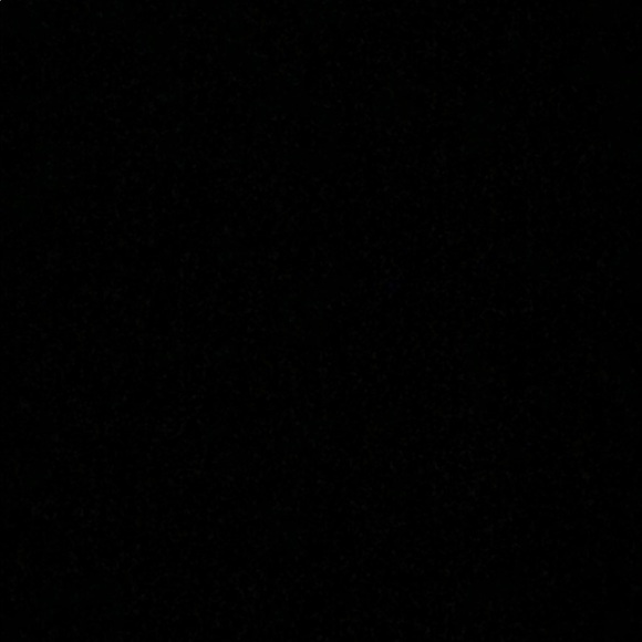 Meet your Posher, Bella - Picture 1 of 1